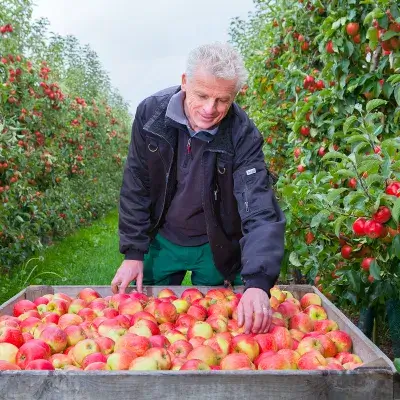 Houben Fruit